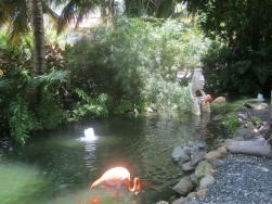 Peaceful oasis in the middle of the resort