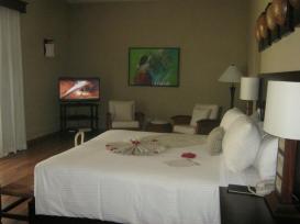 Deluxe Jr. Suite Oceanfront with plunge pool
