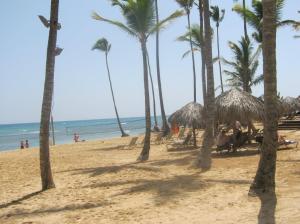 Beach wedding area. Sand isn't as white as Bavaro, but still soft